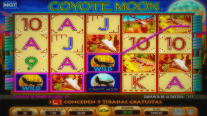 Play Coyote Moon slot machine and enjoy the winnings